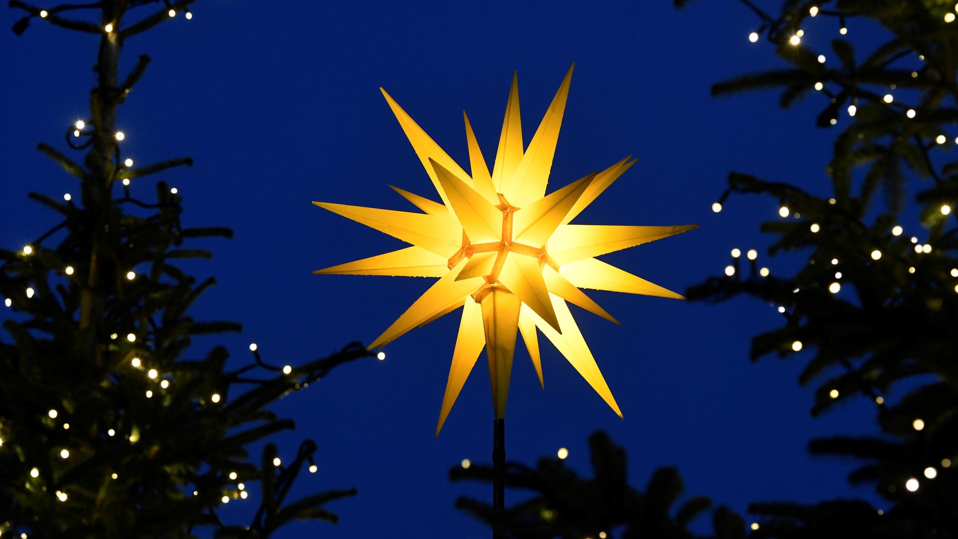 Das Bild zeigt einen Stern, der zwischen zwei mit Lichterketten geschmückten Tannen aufragt. 