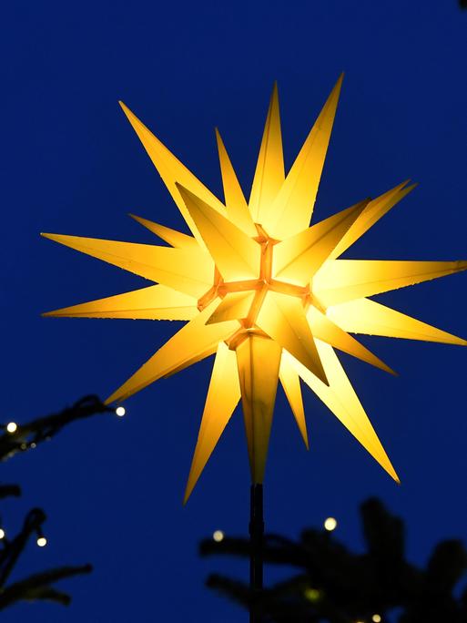 Das Bild zeigt einen Stern, der zwischen zwei mit Lichterketten geschmückten Tannen aufragt. 