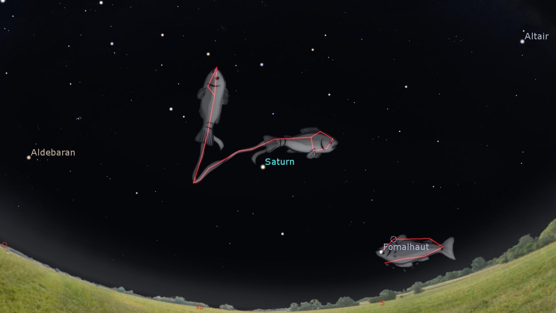 Himmel in dem die Sternbilder Fisch und Planeten eingezeichnet sind.