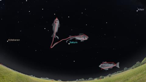 Himmel in dem die Sternbilder Fisch und Planeten eingezeichnet sind.