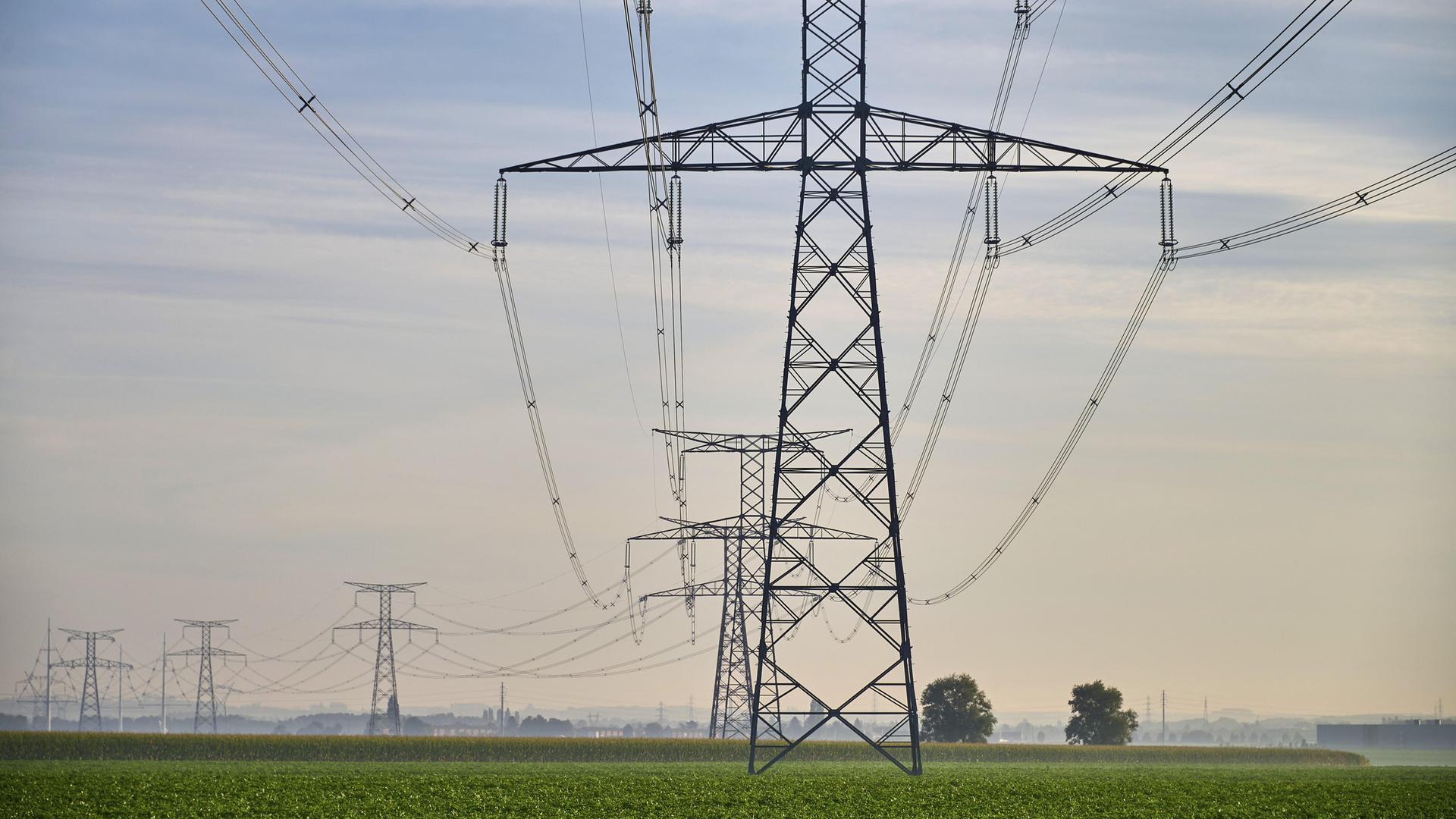 Mehrere Hochspannungsmasten mit weit gespannten Stromleitungen verlaufen über eine flache, grüne Landschaft unter einem bewölkten Himmel. Mehrere Hochspannungsmasten mit weit gespannten Stromleitungen verlaufen über eine flache, grüne Landschaft unter einem bewölkten Himmel.