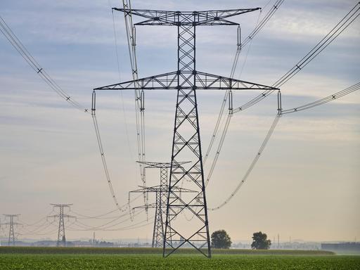 Mehrere Hochspannungsmasten mit weit gespannten Stromleitungen verlaufen über eine flache, grüne Landschaft unter einem bewölkten Himmel. Mehrere Hochspannungsmasten mit weit gespannten Stromleitungen verlaufen über eine flache, grüne Landschaft unter einem bewölkten Himmel.