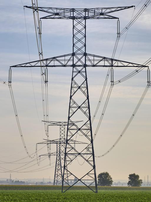 Mehrere Hochspannungsmasten mit weit gespannten Stromleitungen verlaufen über eine flache, grüne Landschaft unter einem bewölkten Himmel. Mehrere Hochspannungsmasten mit weit gespannten Stromleitungen verlaufen über eine flache, grüne Landschaft unter einem bewölkten Himmel.