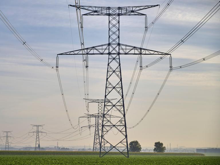 Mehrere Hochspannungsmasten mit weit gespannten Stromleitungen verlaufen über eine flache, grüne Landschaft unter einem bewölkten Himmel. Mehrere Hochspannungsmasten mit weit gespannten Stromleitungen verlaufen über eine flache, grüne Landschaft unter einem bewölkten Himmel.