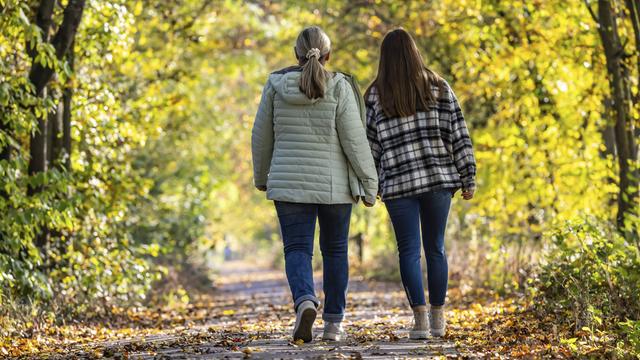 Zwei Frauen spazieren durch einen bunten Herbst-Wald. Man sieht sie von hinten.