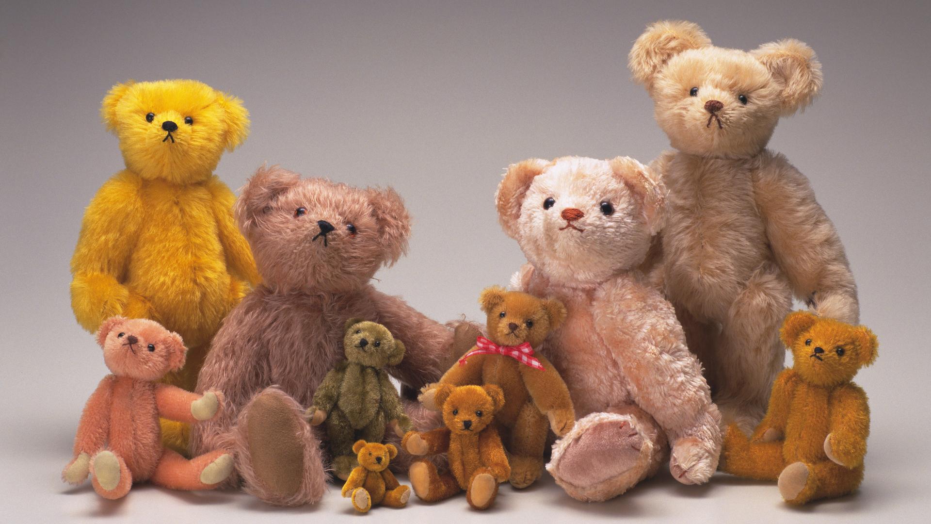 Viele Teddybären in verschiedenen Größen und Farben posieren nebeneinander wie auf einem Familienporträt.