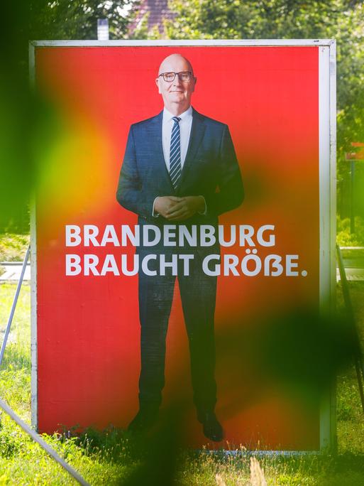 Ein großes Wahlplakat von Dietmar Woidke SPD-Ministerpraesident von Brandenburg steht in der suedbrandenburgischen Kleinstadt Finsterwalde auf einer Wiese. Als amtierender Ministerpraesident ist Dietmar Woidke der Spitzenkandidat der SPD Brandenburg. 