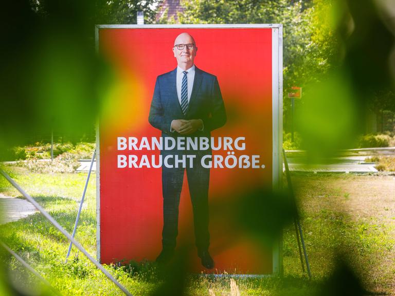 Ein großes Wahlplakat von Dietmar Woidke SPD-Ministerpraesident von Brandenburg steht in der suedbrandenburgischen Kleinstadt Finsterwalde auf einer Wiese. Als amtierender Ministerpraesident ist Dietmar Woidke der Spitzenkandidat der SPD Brandenburg. 