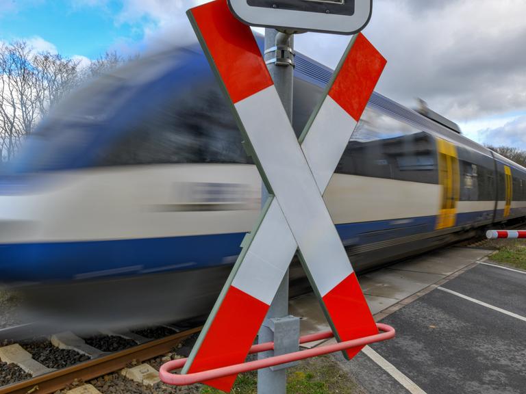 Ein Zug der Niederbarnimer Eisenbahn (NEB) fährt durch einen beschrankten Bahnübergang, im Vordergrund ein Andreaskreuz.