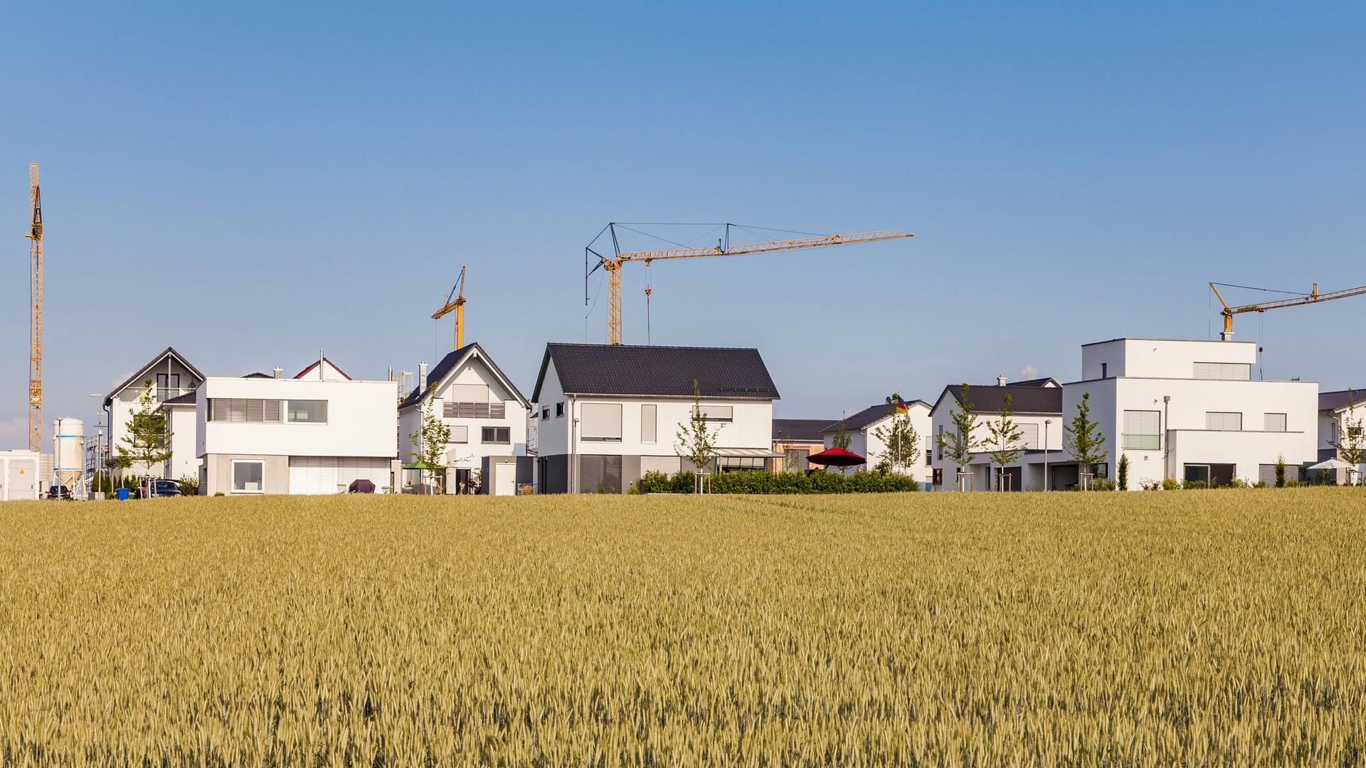 Das Foto zeigt ein Neubaugebiet im Ulmer Stadtteil Lehr: Hinter einem ländlichen Feld sind Einfamilienhäuser zu sehen, dahinter stehen Baukräne.