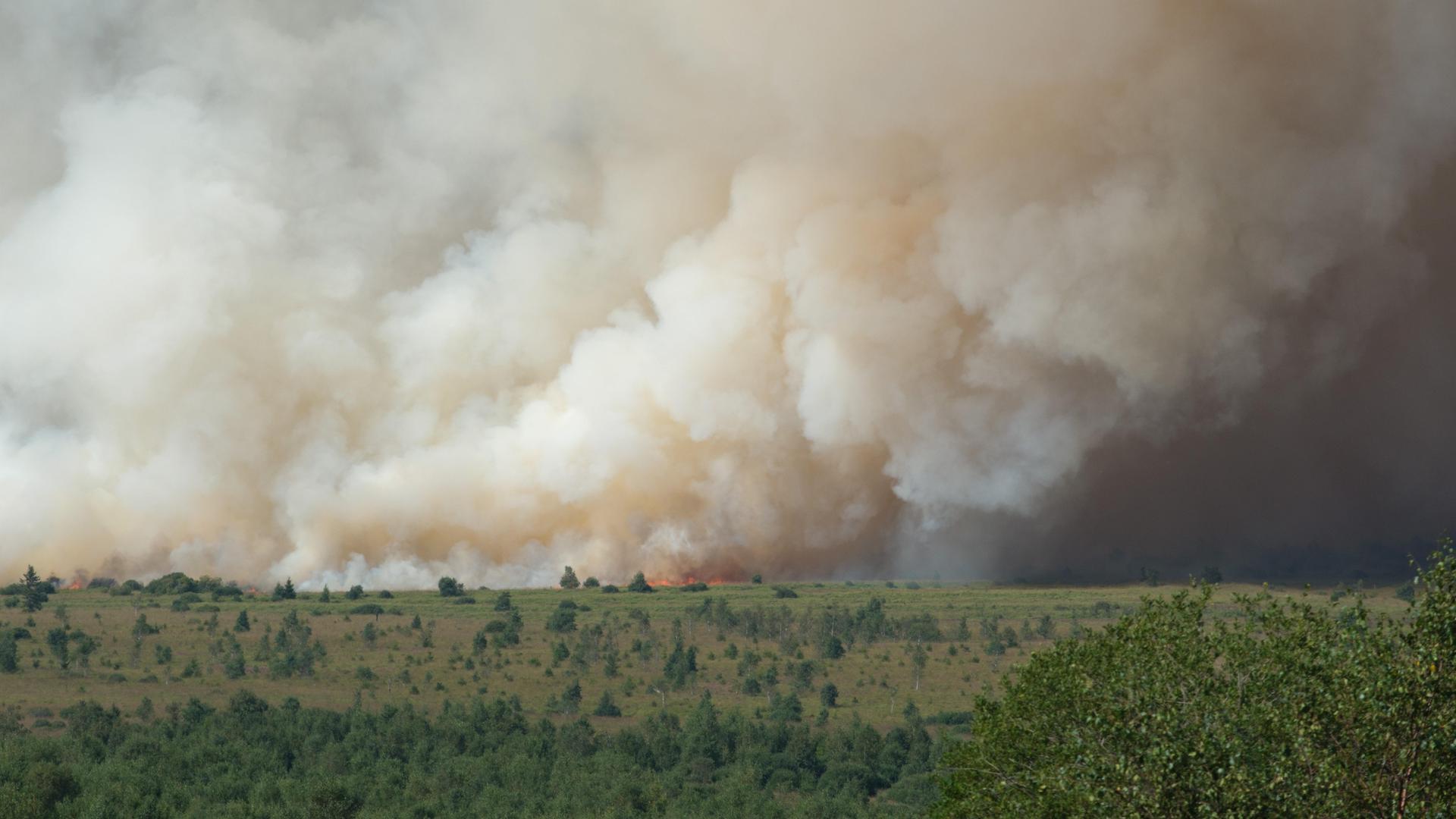 Blick aus der Ferne auf eine riesige Rauchwand über einem Gebiet mit Sträuchern. In der Bildmitte sieht man klein rote Flammen lodern. 