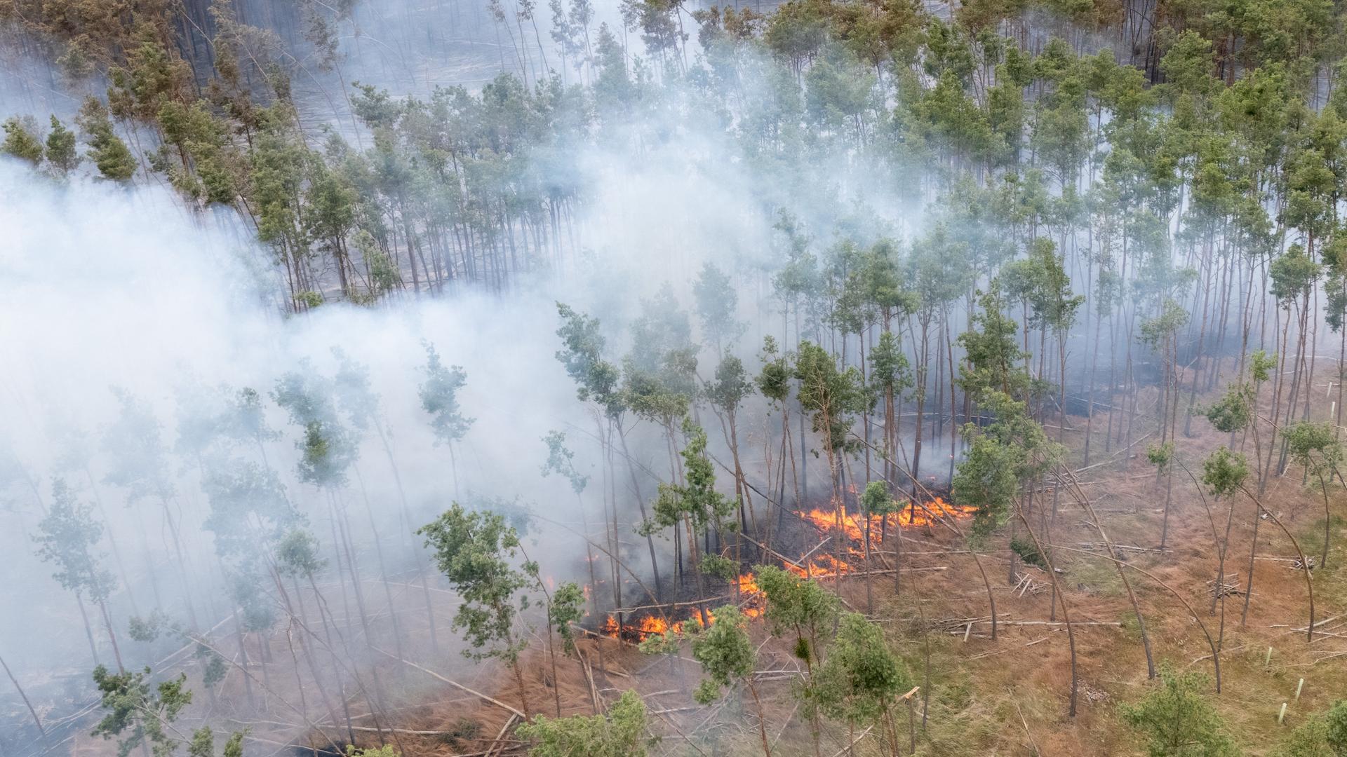 Sachsen, Nieska: Ein Feuer brennt bei einem Wald- und Vegetationsbrand in der Gohrischheide im Landkreis Meißen (Luftaufnahme mit Drohne).