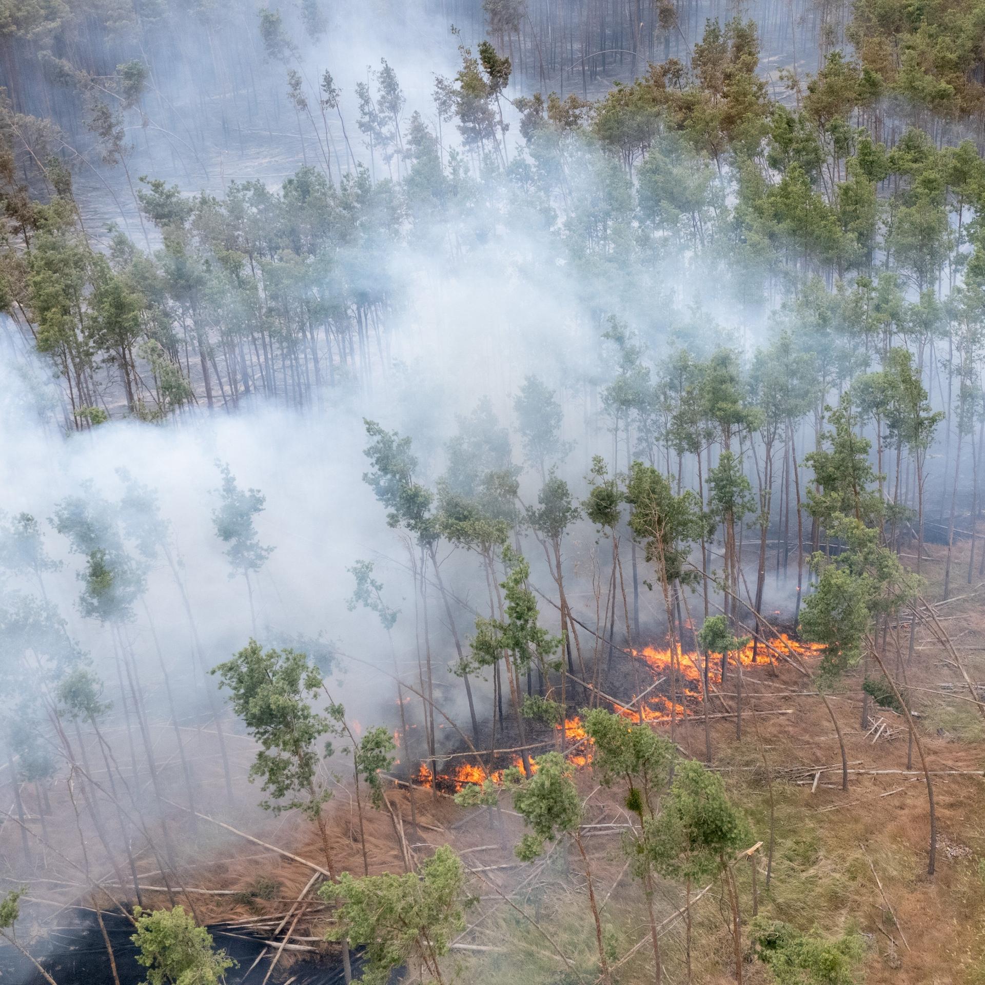 Sachsen, Nieska: Ein Feuer brennt bei einem Wald- und Vegetationsbrand in der Gohrischheide im Landkreis Meißen (Luftaufnahme mit Drohne).