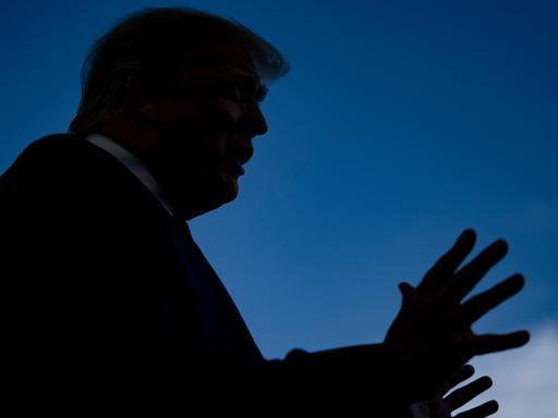Eine Silhouette vor blauem Hintergrund zeigt das typische Erscheinungsbild von Donald Trump
