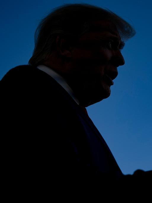 Eine Silhouette vor blauem Hintergrund zeigt das typische Erscheinungsbild von Donald Trump
