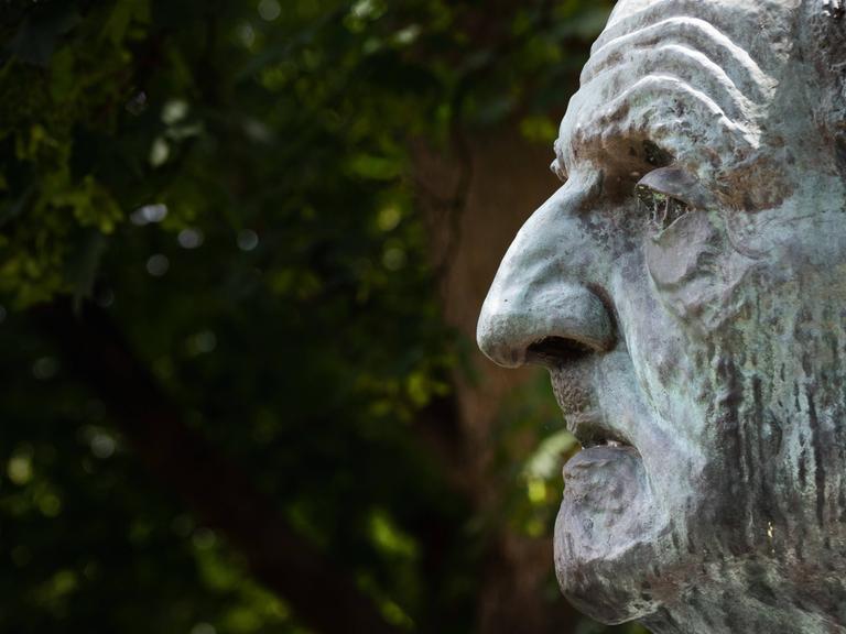 Profil des Kopfes einer Statue. Sie zeigt den Komponisten Anton Bruckner und steht in Linz.