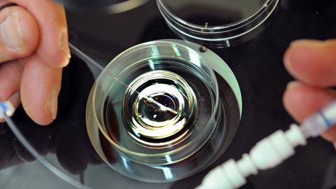 Im Biologischen Labor des Zentrums für Reproduktionsmedizin an der Universitätsfrauenklinik in Leipzig befüllt ein Mitarbeiter einen Katheter mit vorher kultiviertem Embryo für einen Embryotransfer