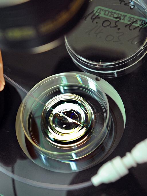 Im Biologischen Labor des Zentrums für Reproduktionsmedizin an der Universitätsfrauenklinik in Leipzig befüllt ein Mitarbeiter einen Katheter mit vorher kultiviertem Embryo für einen Embryotransfer