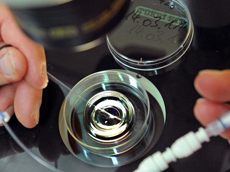 Im Biologischen Labor des Zentrums für Reproduktionsmedizin an der Universitätsfrauenklinik in Leipzig befüllt ein Mitarbeiter einen Katheter mit vorher kultiviertem Embryo für einen Embryotransfer