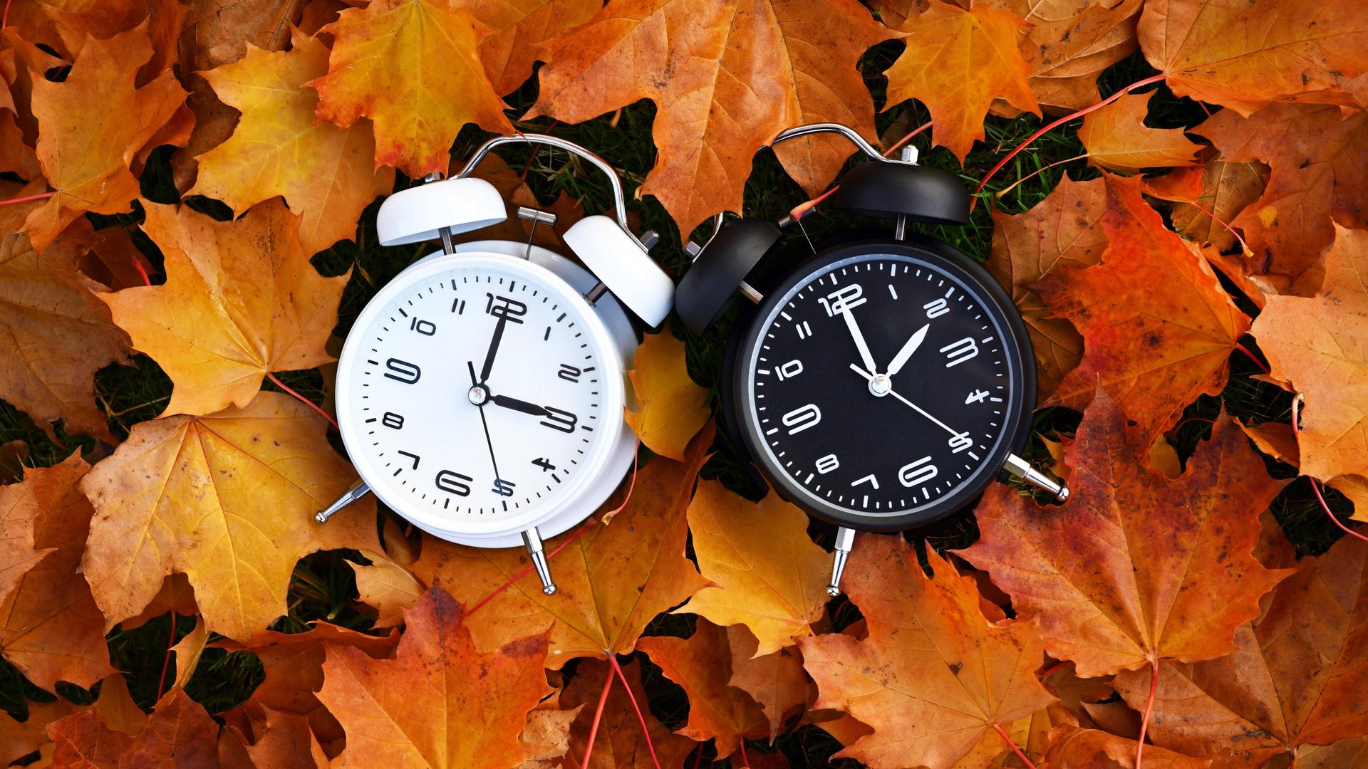Zwei analoge Uhren, die auf vergilbten Herbstblättern liegen. Die rechte Uhr wurde auf Winterzeit eine Stunde zurückgestellt.
