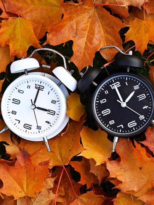 Zwei analoge Uhren, die auf vergilbten Herbstblättern liegen. Die rechte Uhr wurde auf Winterzeit eine Stunde zurückgestellt.