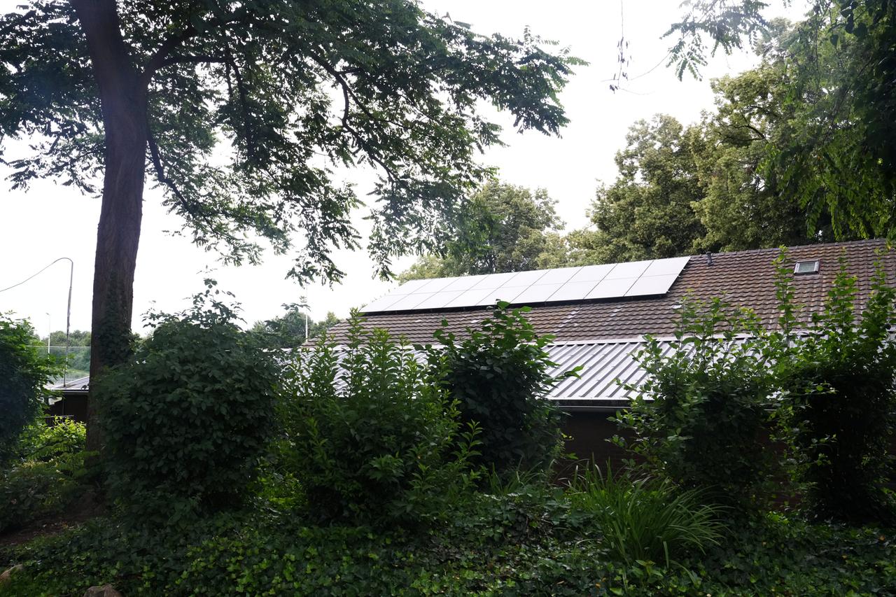 Zwischen den Bäumen ist die Solaranlagen auf dem Dach des Vereinsheim des SSV Eintracht Lommersum zu sehen.
