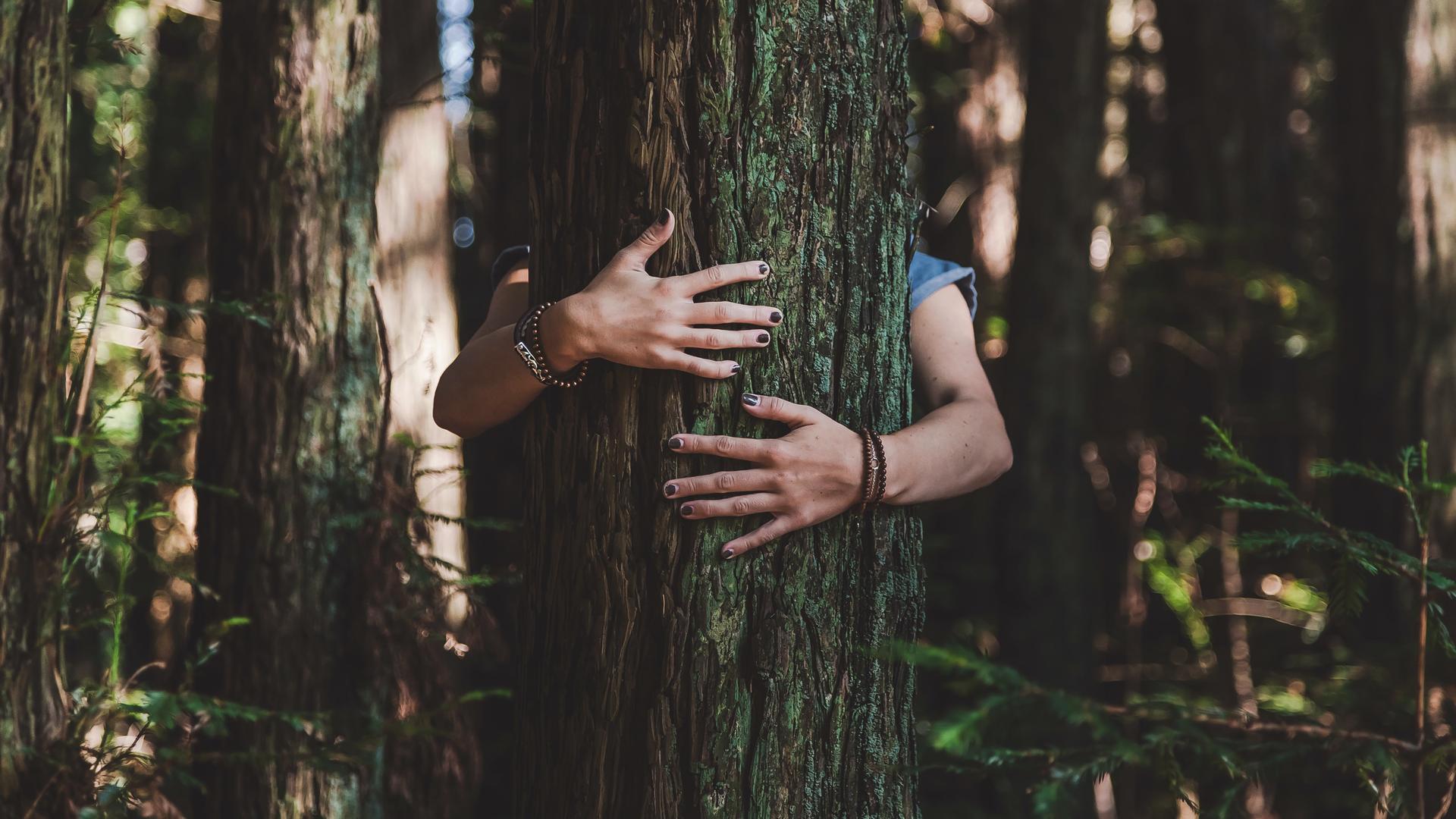 Eine Person umarmt einen Baum.