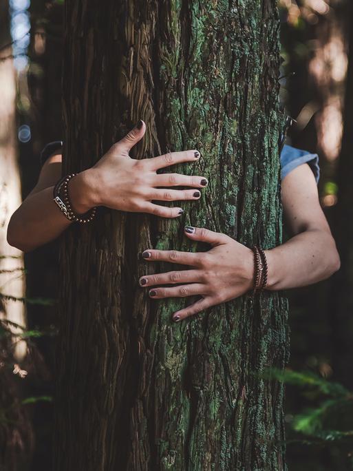 Eine Person umarmt einen Baum.