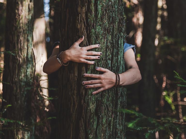 Eine Person umarmt einen Baum.