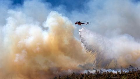 Dione: Ein Löschhubschrauber wirft inmitten dichter Rauchschwaden Wasser auf einen Flächenbrand in Dione bei Athen. 