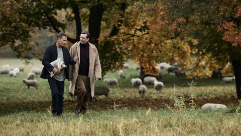 Zwei Männer laufen über eine herbstliche Wiese mit Bäumen, im Hintergrund sind Schafe zu sehen