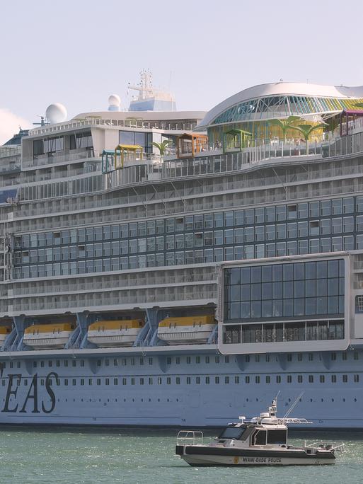 Das größte Kreuzfahrtschiff der Welt, die "Icon of the Seas", im Hafen von Miami.