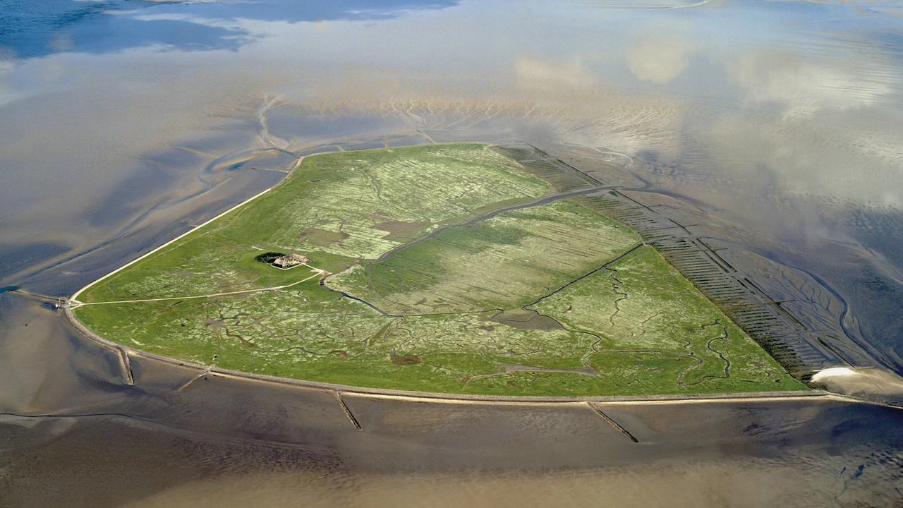 Blick von oben auf die Hallig Südfall.