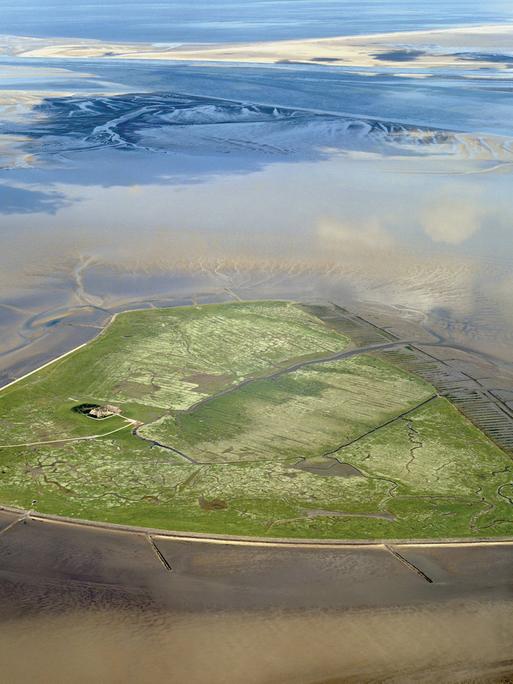 Blick von oben auf die Hallig Südfall.