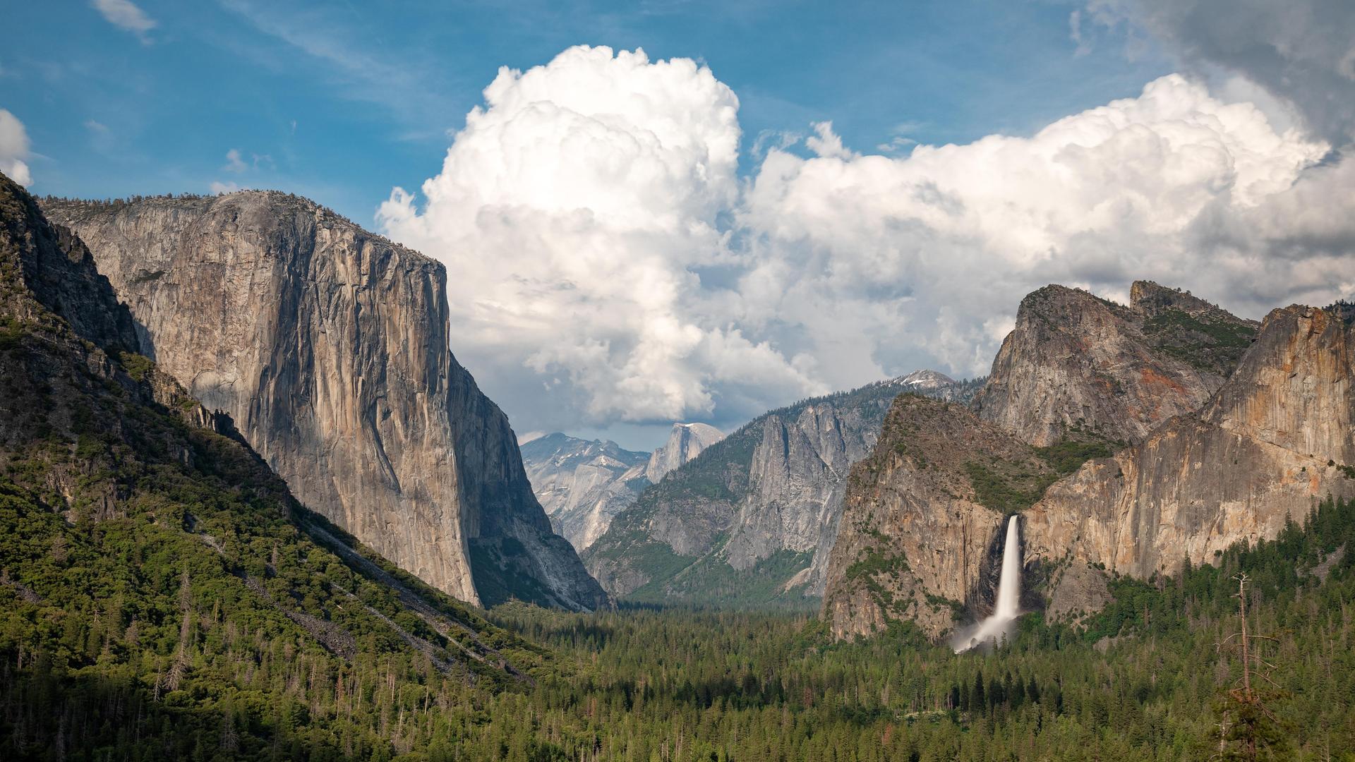 Tunnelblick im Yosemite National Park auf Baumkronen und ein Bergmassiv mit einem Wasserfall im Hintergrund. 