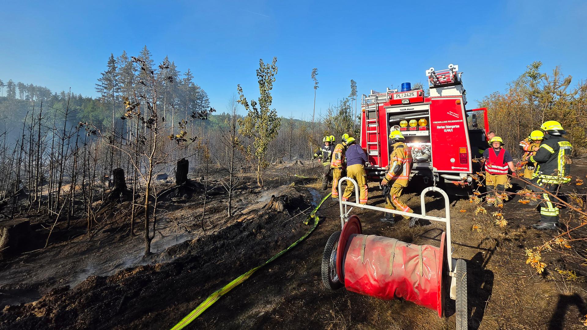 Sachsen, Plauen: Kräfte der Feuerwehr sind bei einem Brand in einem Waldgebiet im Vogtlandkreis im Einsatz. 