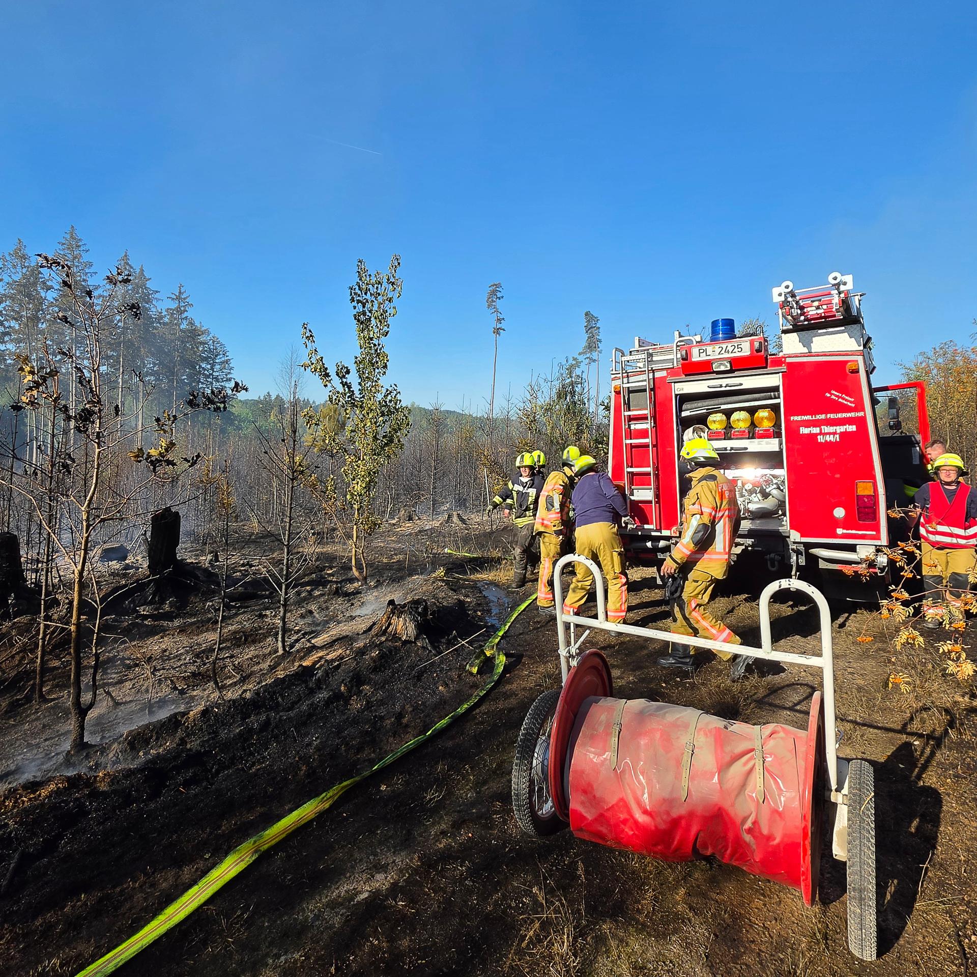 Sachsen, Plauen: Kräfte der Feuerwehr sind bei einem Brand in einem Waldgebiet im Vogtlandkreis im Einsatz. 