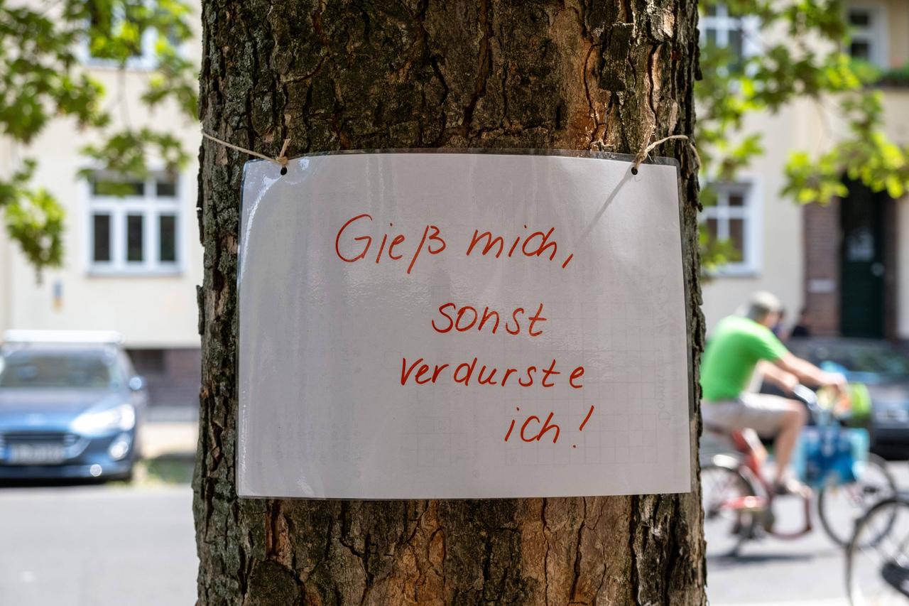 "Gieß mich, sonder verdurste ich"- steht auf einem Zettel an einem Baum in Berlin