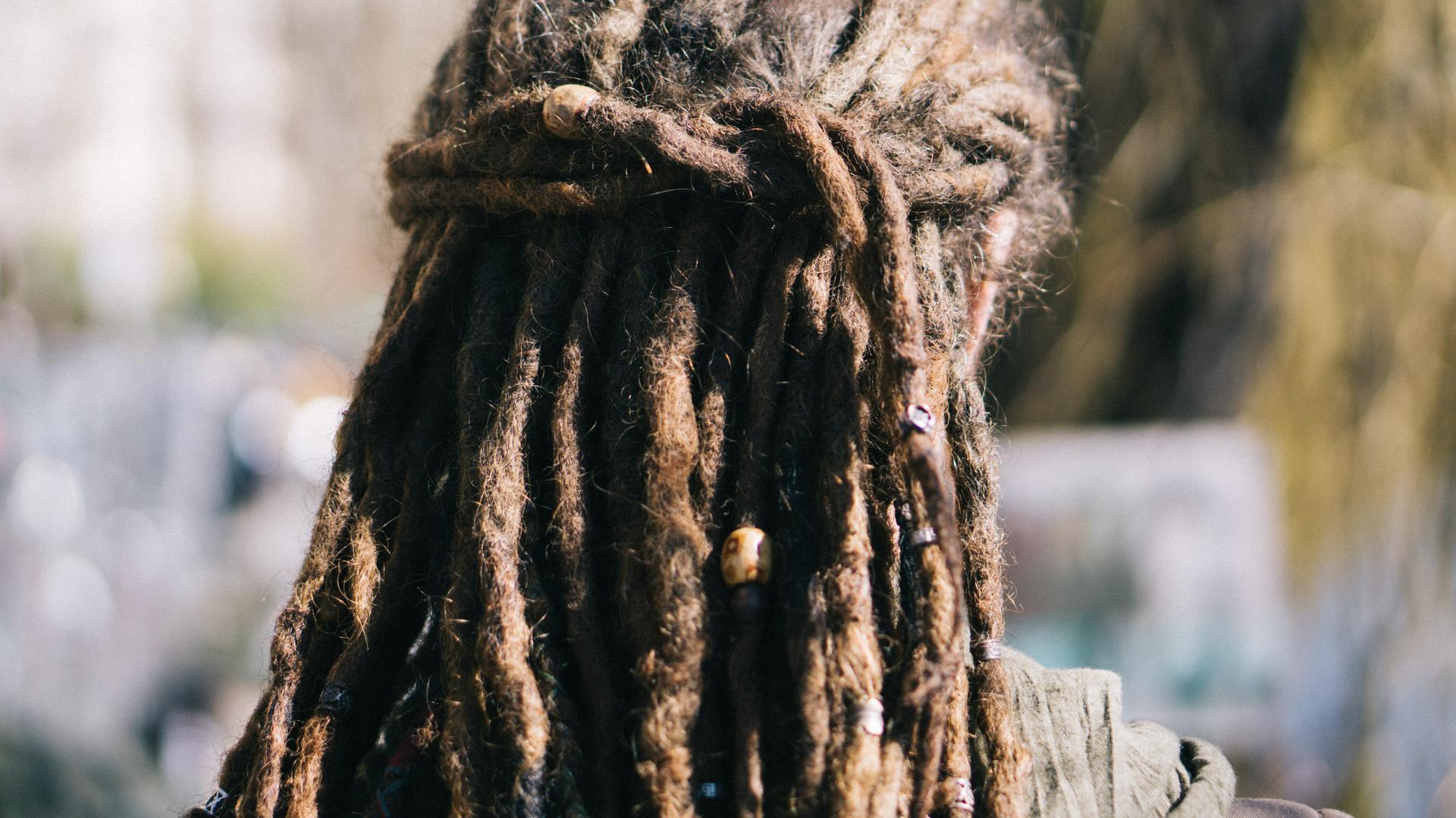 Hinterkopf einer Frau, die Dreadlocks trägt.