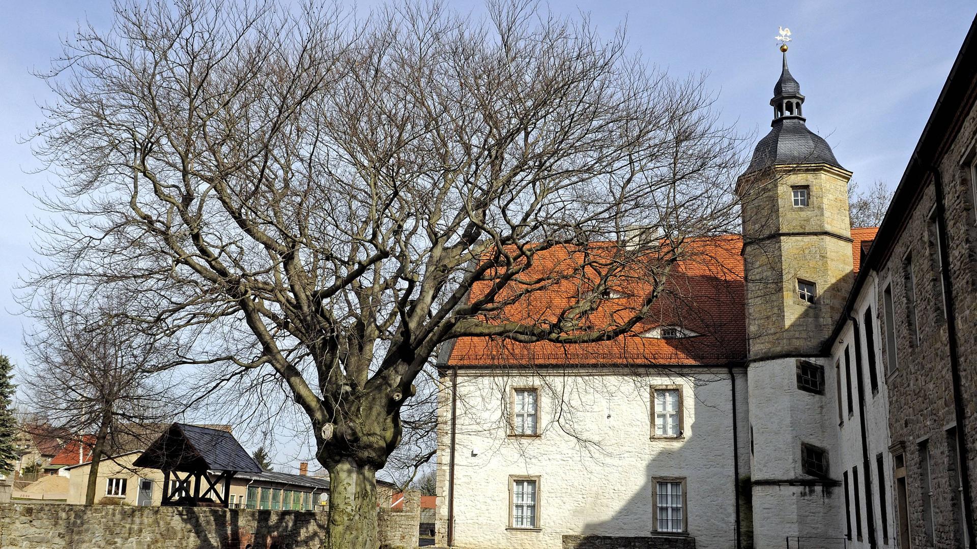 Baum vor dem Schloss Oberwiederstedt, der Geburtsstätte von Novalis. Foto: imago Baum vor dem Schloss Oberwiederstedt, der Geburtsstätte von Novalis. Foto: imago