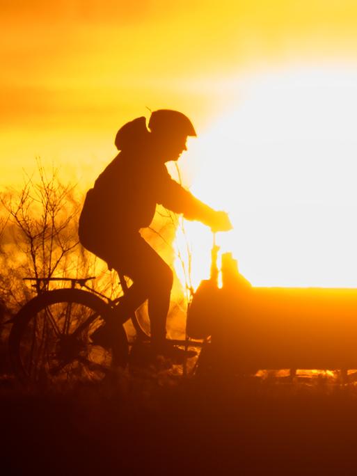 Ein Mann fährt bei Sonnenaufgang mit einem Lastenfahrrad über einen Feldweg.