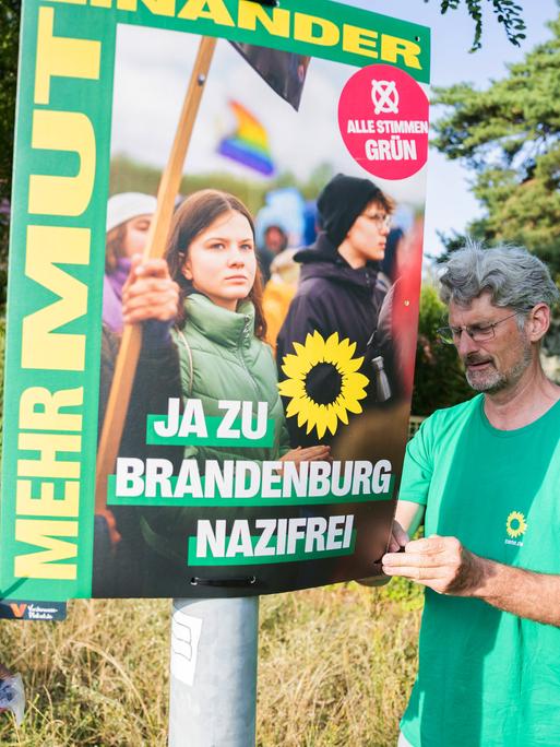 Mitglieder des Brandenburger Landtags hängen ein Wahlplakat auf, nachdem ein Wahlhelfer der Grünen in Hohen Neuendorf angegriffen und beraubt worden war, 14.08.2024.