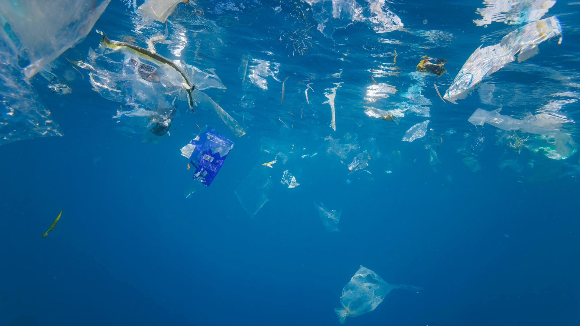 Plastiktüten, Plastikteile und Plastik schweben in strahlend blauem Wasser. Fische haben sich unter die Abfälle gemischt. Das Licht nimmt zum unteren Bildrand hin ab. 