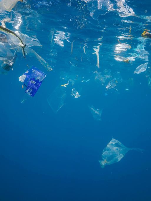 Plastiktüten, Plastikteile und Plastik schweben in strahlend blauem Wasser. Fische haben sich unter die Abfälle gemischt. Das Licht nimmt zum unteren Bildrand hin ab. 
