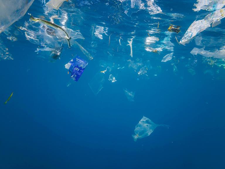 Plastiktüten, Plastikteile und Plastik schweben in strahlend blauem Wasser. Fische haben sich unter die Abfälle gemischt. Das Licht nimmt zum unteren Bildrand hin ab. 