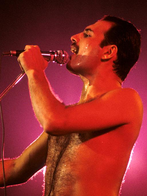 Freddie Mercury steht mit freiem Oberkörper auf der Bühne, ist in rotes Licht getaucht und singt in ein Handmikro Freddie Mercury steht mit freiem Oberkörper auf der Bühne, ist in rotes Licht getaucht und singt in ein Handmikro
