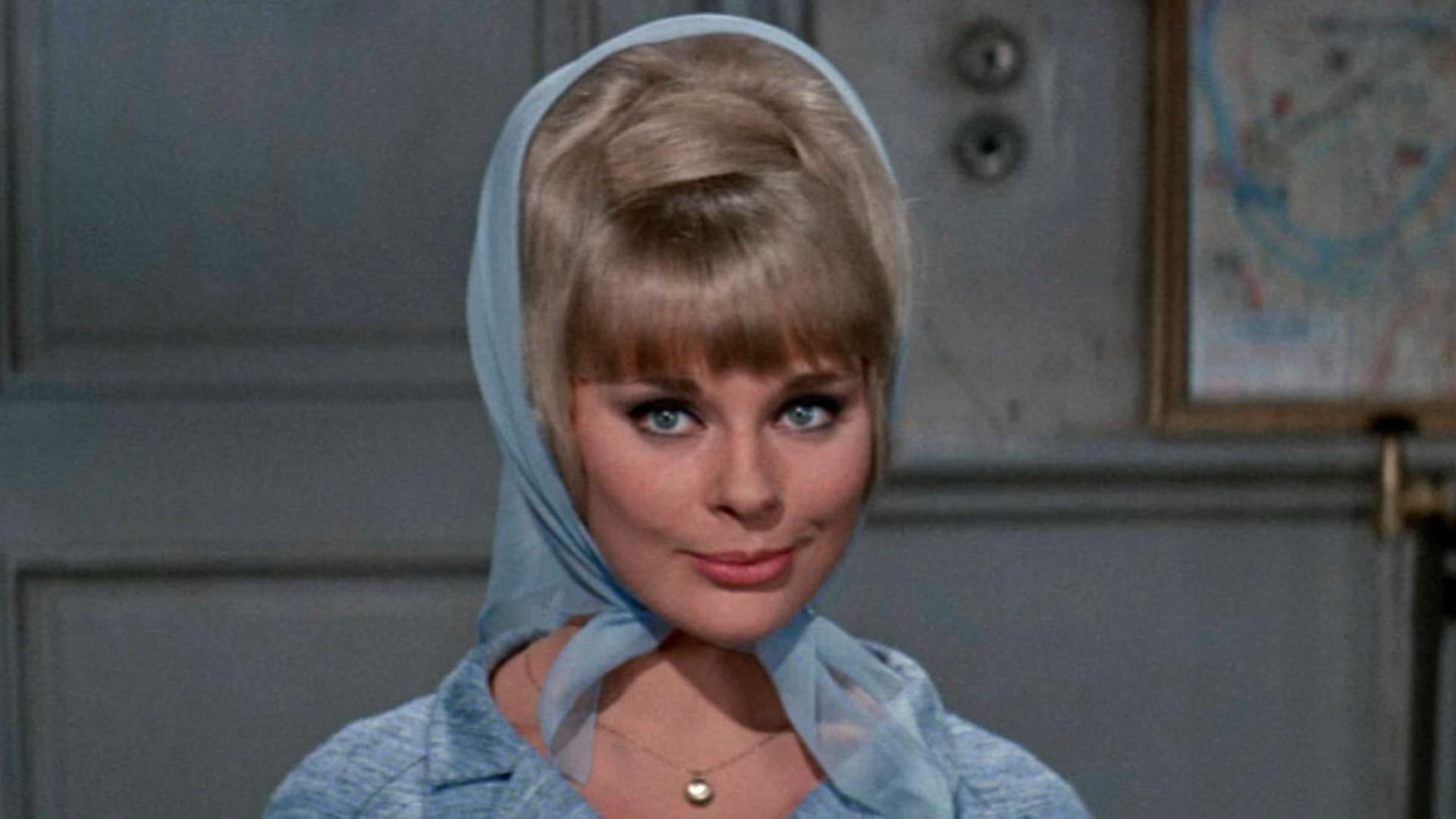 Das Bild zeigt den Kopf der Schsuepielerin Elke Sommer in dem Film "A Shot in the Dark" des Regisseurs Blake Edwards. Sie trägt ein blaues Kopftuch, ist stark geschminkt und lächelt milde in die Kamera. 