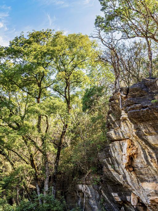 Felsformation im Regenwald, Brasilien, Minas Gerais. Felsformation im Regenwald, Brasilien, Minas Gerais.