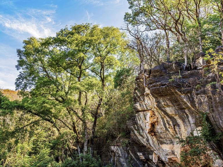 Felsformation im Regenwald, Brasilien, Minas Gerais.