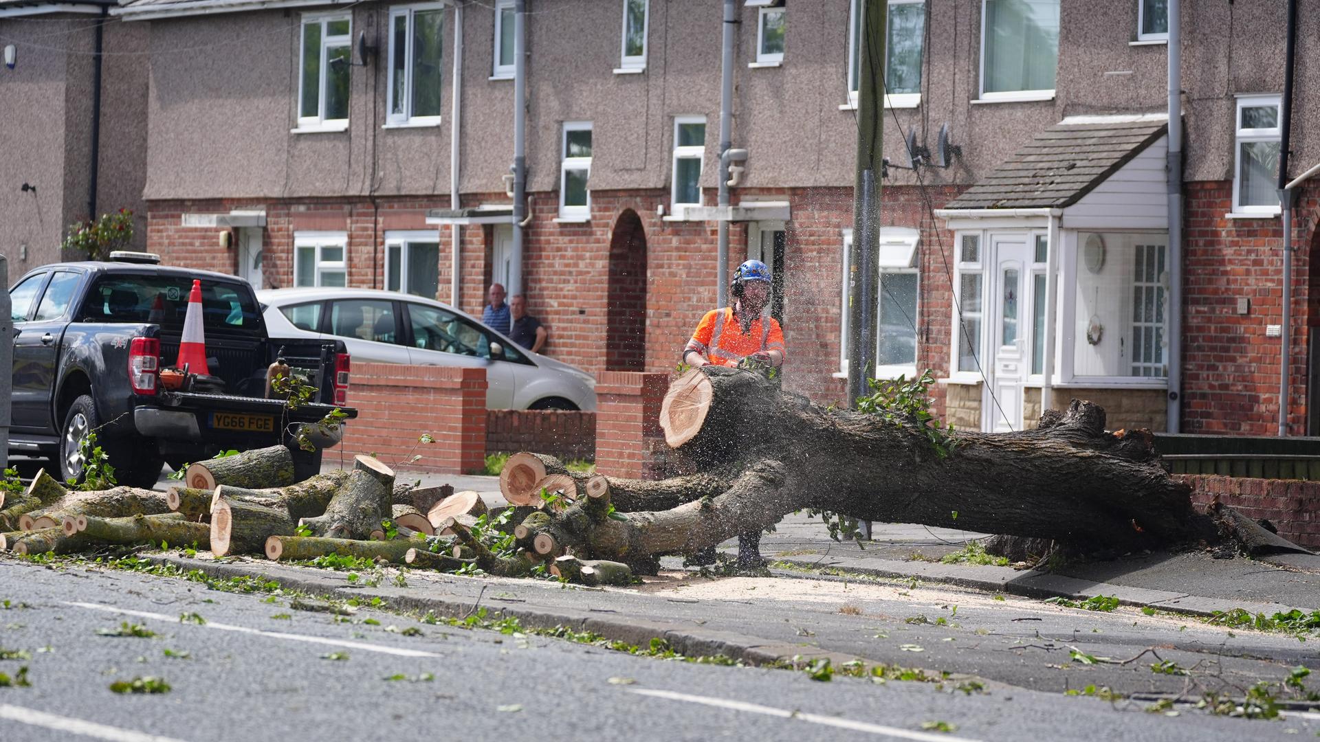 Blyth: Arbeiter zerschneiden einen vom Wind gefällten Baum in der Plessey Road. Blyth: Arbeiter zerschneiden einen vom Wind gefällten Baum in der Plessey Road.